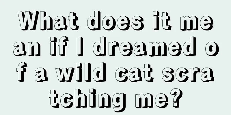 What does it mean if I dreamed of a wild cat scratching me?