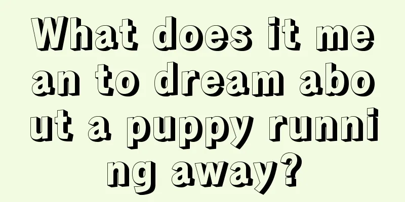 What does it mean to dream about a puppy running away?