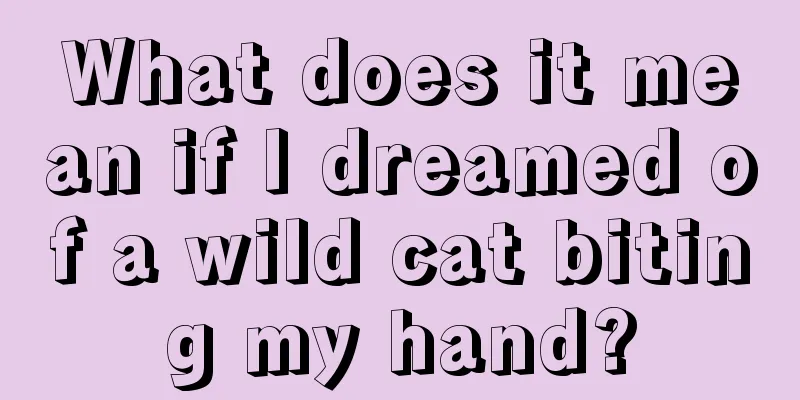 What does it mean if I dreamed of a wild cat biting my hand?