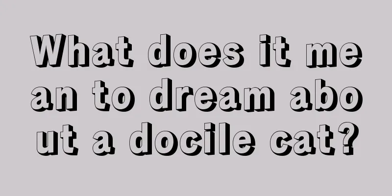 What does it mean to dream about a docile cat?