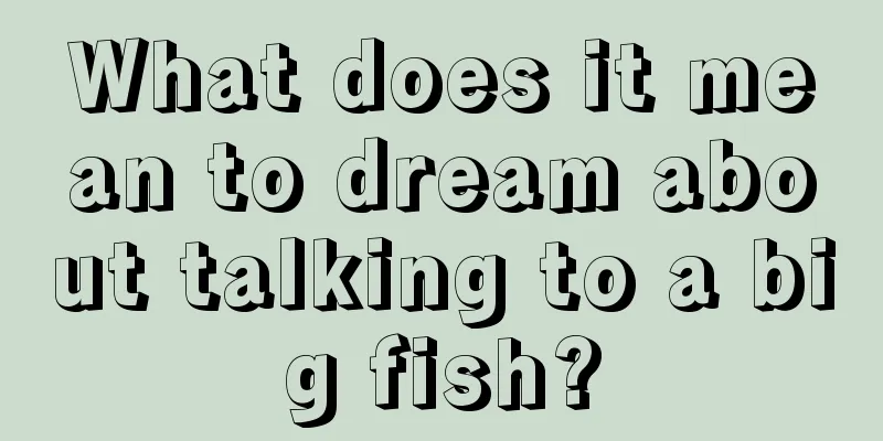 What does it mean to dream about talking to a big fish?