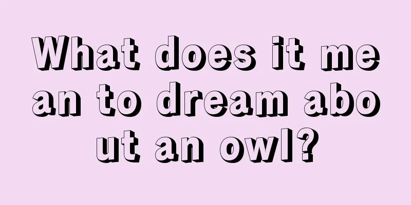 What does it mean to dream about an owl?