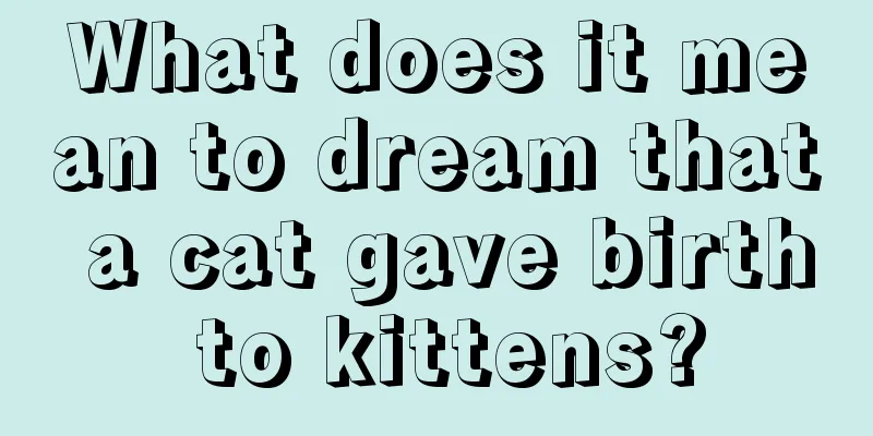 What does it mean to dream that a cat gave birth to kittens?