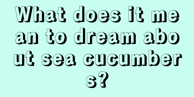 What does it mean to dream about sea cucumbers?