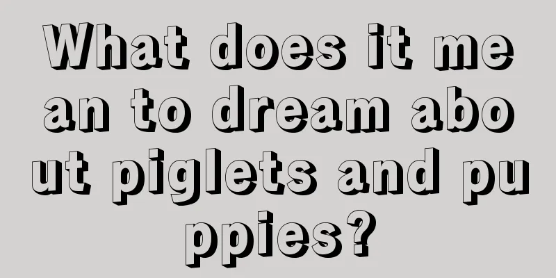 What does it mean to dream about piglets and puppies?