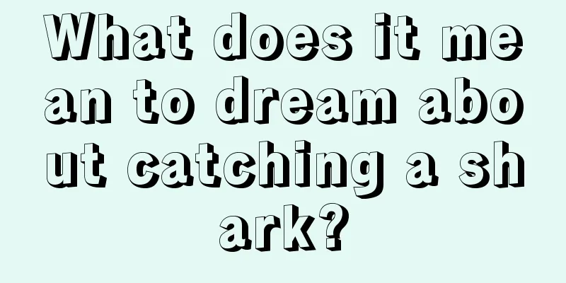 What does it mean to dream about catching a shark?