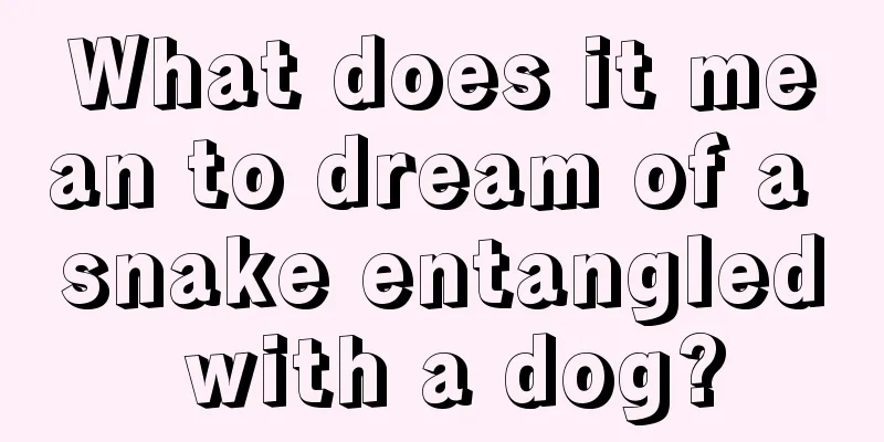 What does it mean to dream of a snake entangled with a dog?