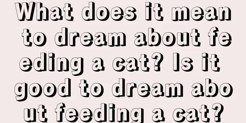 What does it mean to dream about feeding a cat? Is it good to dream about feeding a cat?