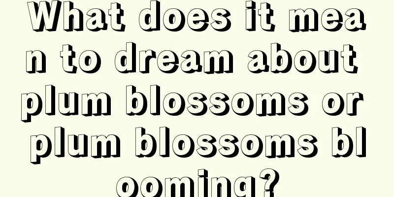 What does it mean to dream about plum blossoms or plum blossoms blooming?