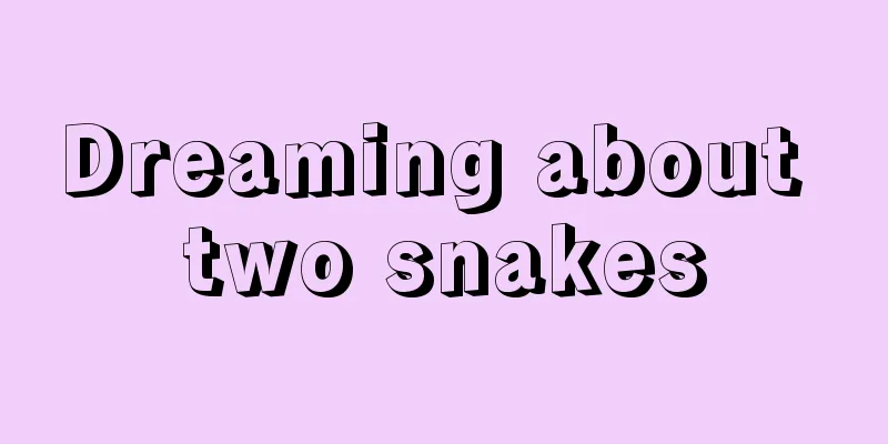 Dreaming about two snakes