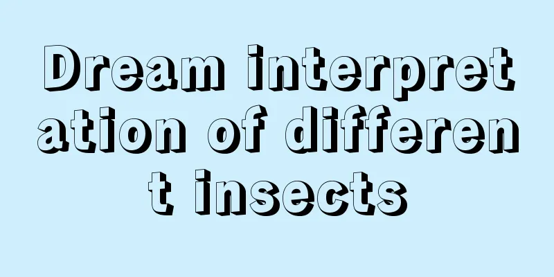 Dream interpretation of different insects