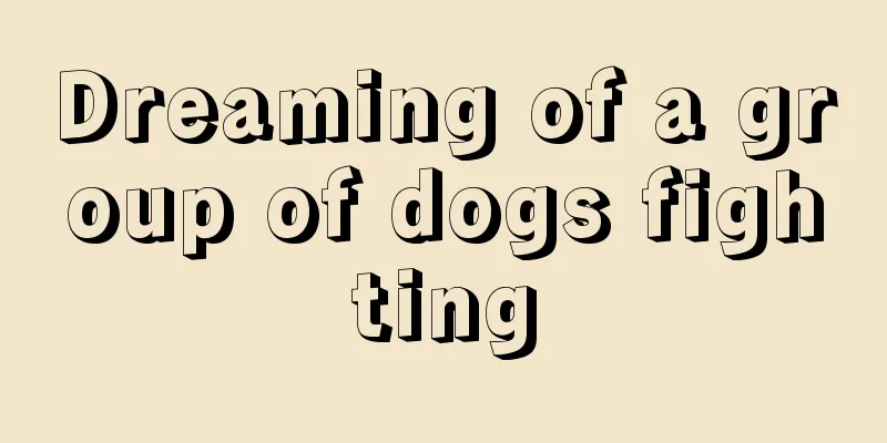 Dreaming of a group of dogs fighting