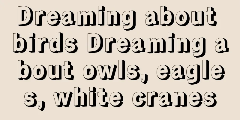 Dreaming about birds Dreaming about owls, eagles, white cranes