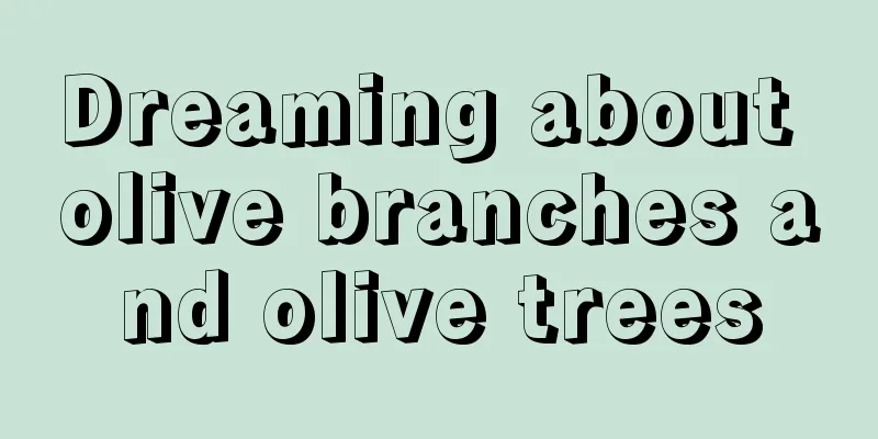 Dreaming about olive branches and olive trees