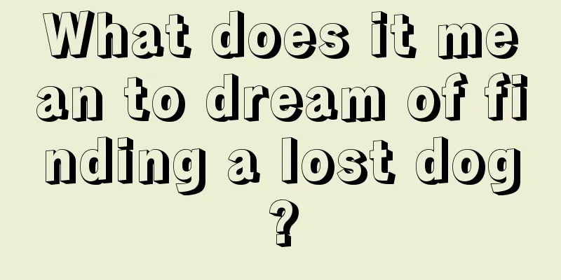 What does it mean to dream of finding a lost dog?