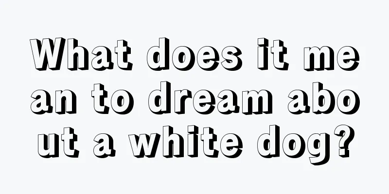 What does it mean to dream about a white dog?