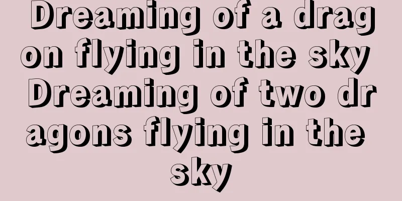 Dreaming of a dragon flying in the sky Dreaming of two dragons flying in the sky