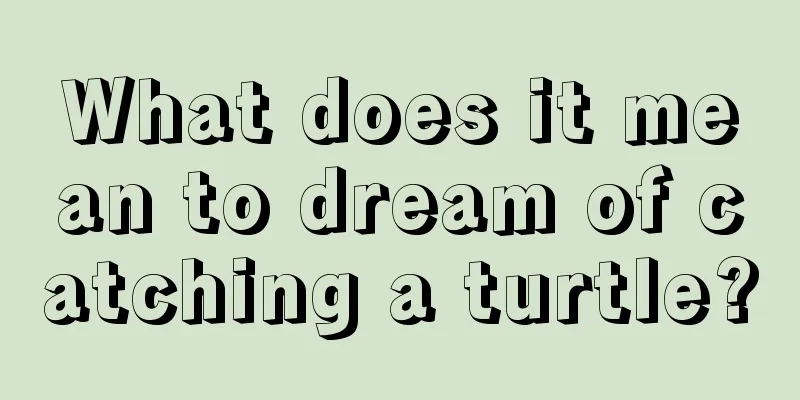 What does it mean to dream of catching a turtle?