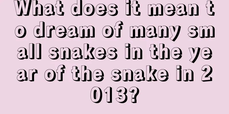 What does it mean to dream of many small snakes in the year of the snake in 2013?