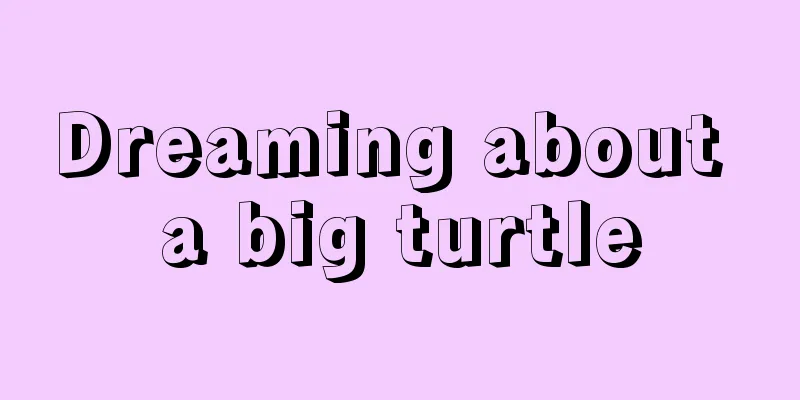 Dreaming about a big turtle