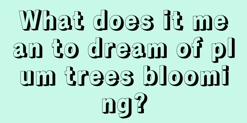 What does it mean to dream of plum trees blooming?