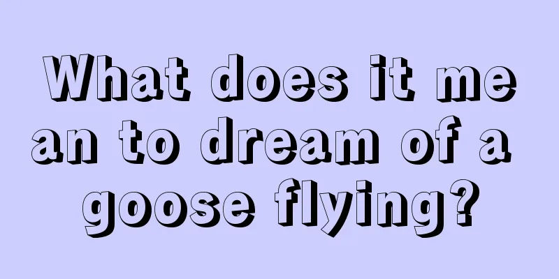 What does it mean to dream of a goose flying?