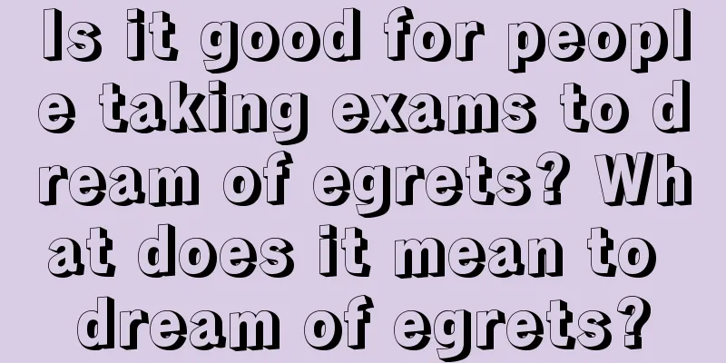 Is it good for people taking exams to dream of egrets? What does it mean to dream of egrets?