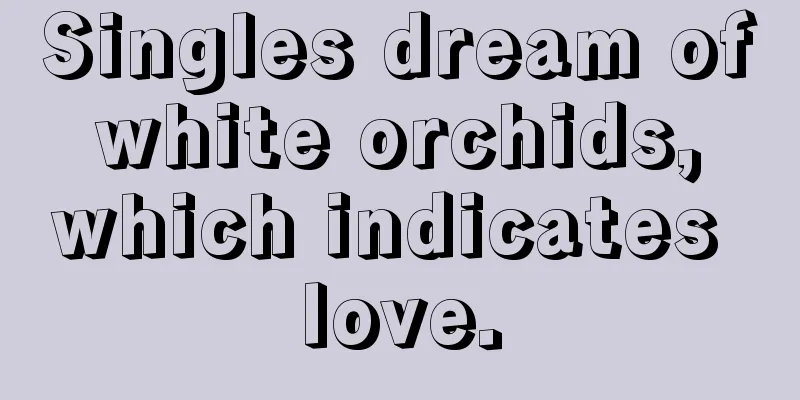 Singles dream of white orchids, which indicates love.