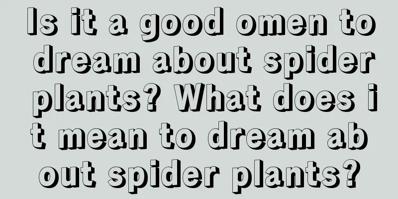 Is it a good omen to dream about spider plants? What does it mean to dream about spider plants?