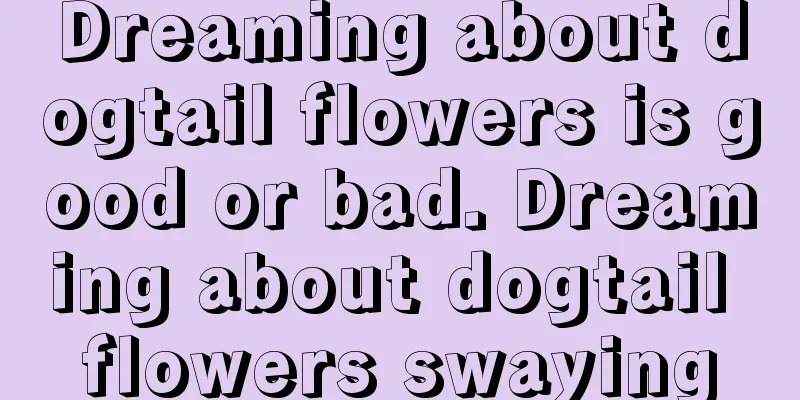 Dreaming about dogtail flowers is good or bad. Dreaming about dogtail flowers swaying