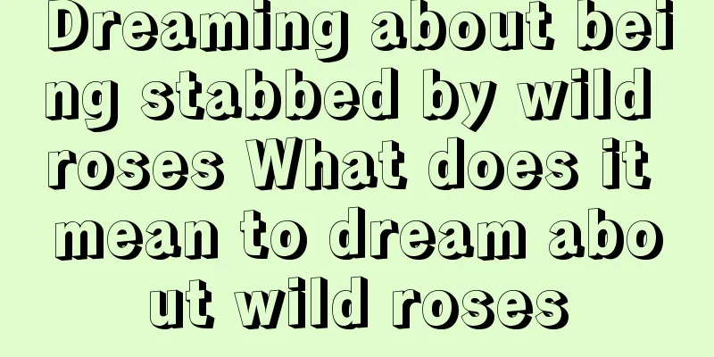 Dreaming about being stabbed by wild roses What does it mean to dream about wild roses