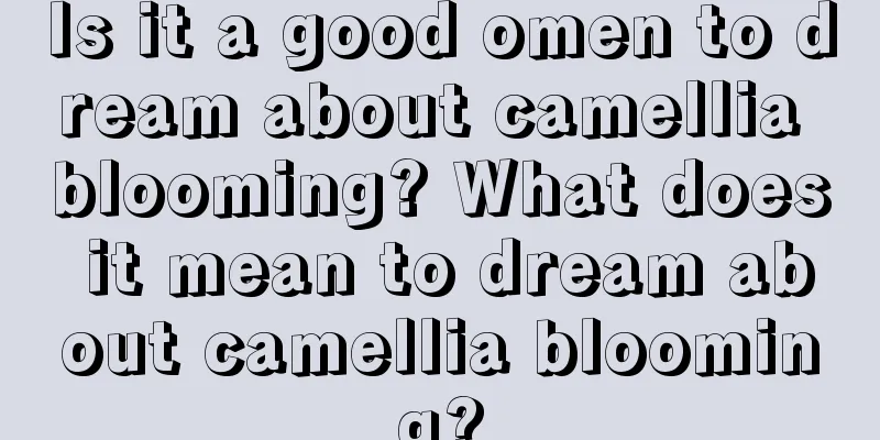 Is it a good omen to dream about camellia blooming? What does it mean to dream about camellia blooming?