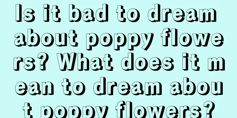 Is it bad to dream about poppy flowers? What does it mean to dream about poppy flowers?