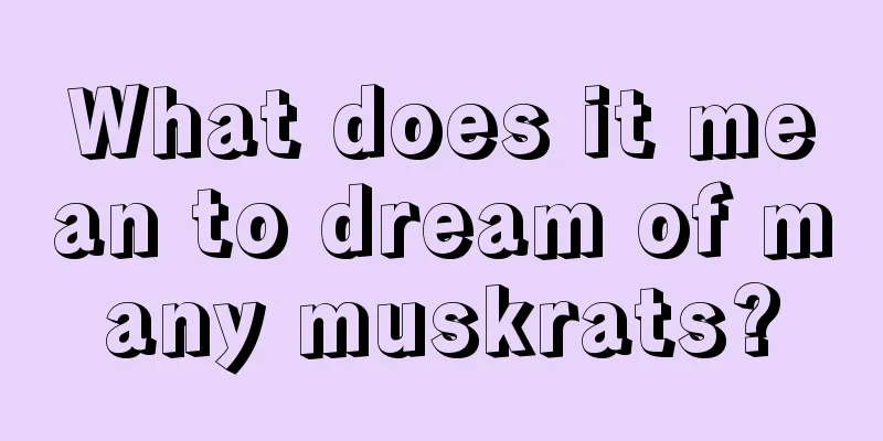 What does it mean to dream of many muskrats?