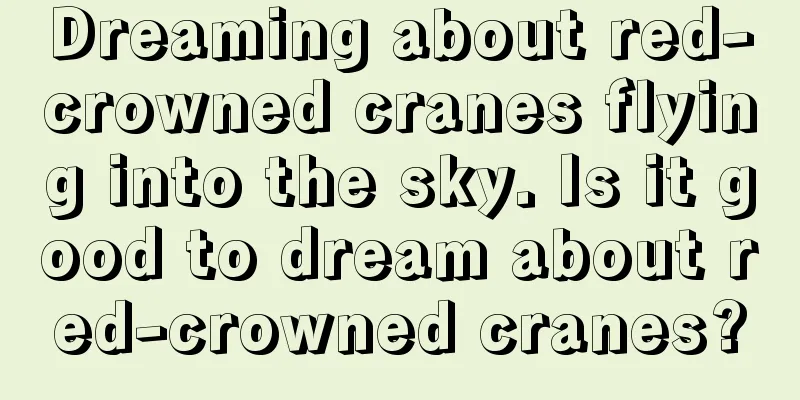 Dreaming about red-crowned cranes flying into the sky. Is it good to dream about red-crowned cranes?