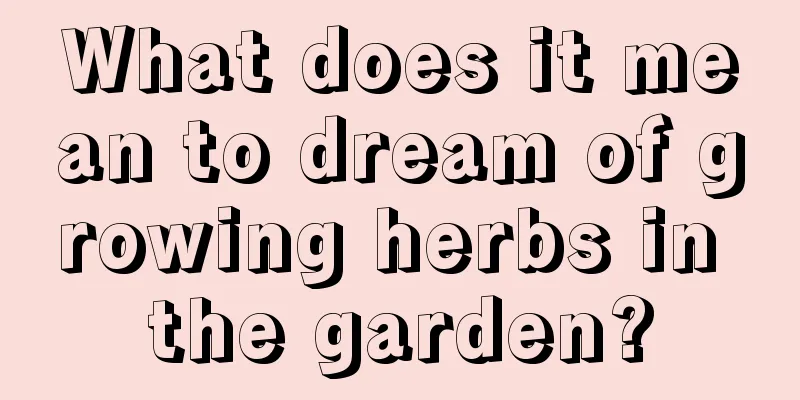 What does it mean to dream of growing herbs in the garden?