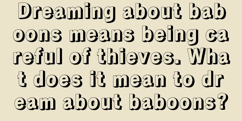 Dreaming about baboons means being careful of thieves. What does it mean to dream about baboons?