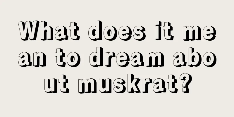 What does it mean to dream about muskrat?