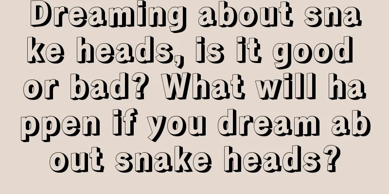 Dreaming about snake heads, is it good or bad? What will happen if you dream about snake heads?