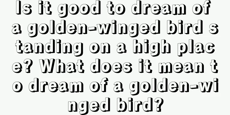 Is it good to dream of a golden-winged bird standing on a high place? What does it mean to dream of a golden-winged bird?