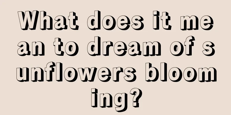 What does it mean to dream of sunflowers blooming?