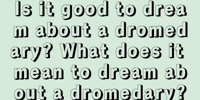 Is it good to dream about a dromedary? What does it mean to dream about a dromedary?