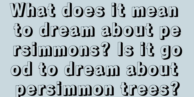 What does it mean to dream about persimmons? Is it good to dream about persimmon trees?