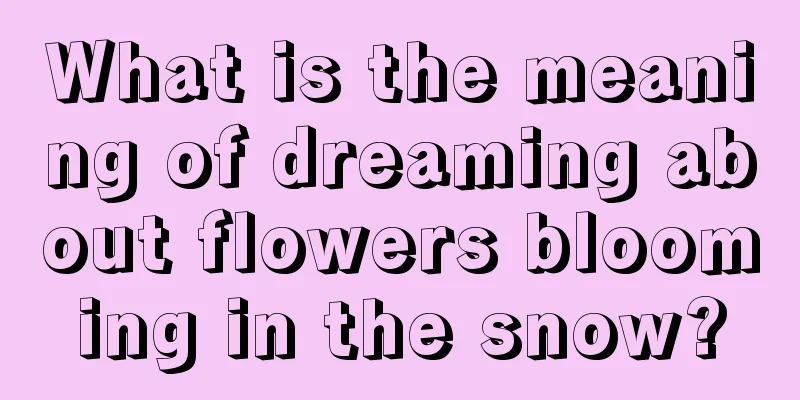 What is the meaning of dreaming about flowers blooming in the snow?