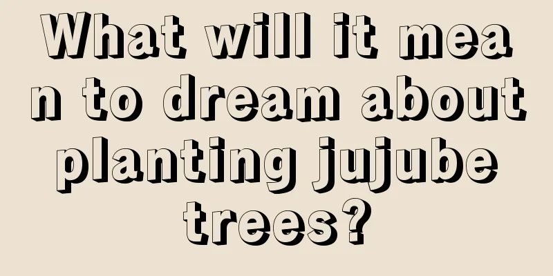 What will it mean to dream about planting jujube trees?