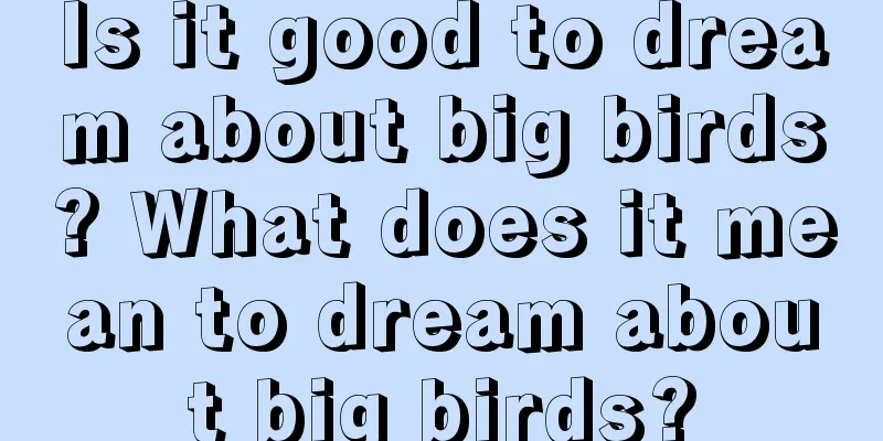 Is it good to dream about big birds? What does it mean to dream about big birds?