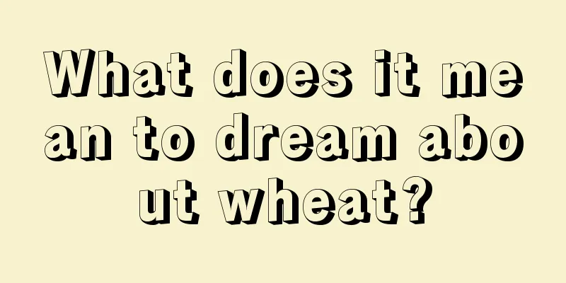 What does it mean to dream about wheat?