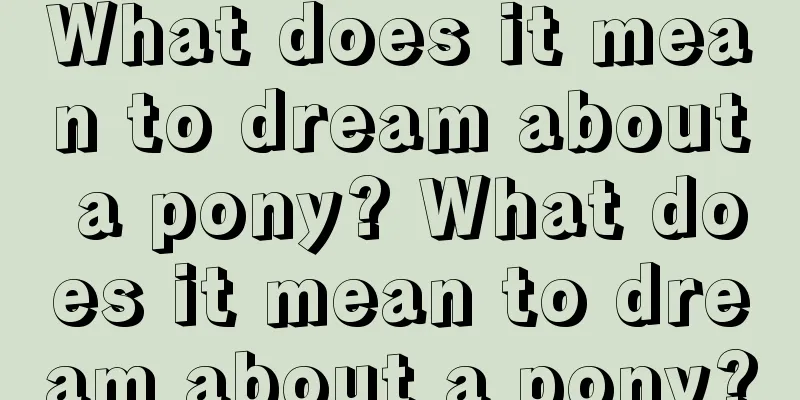 What does it mean to dream about a pony? What does it mean to dream about a pony?