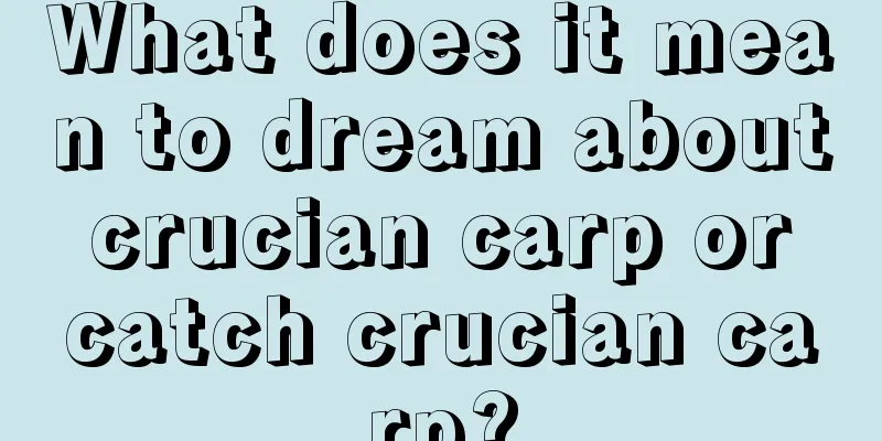 What does it mean to dream about crucian carp or catch crucian carp?