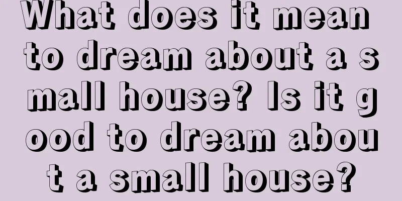 What does it mean to dream about a small house? Is it good to dream about a small house?